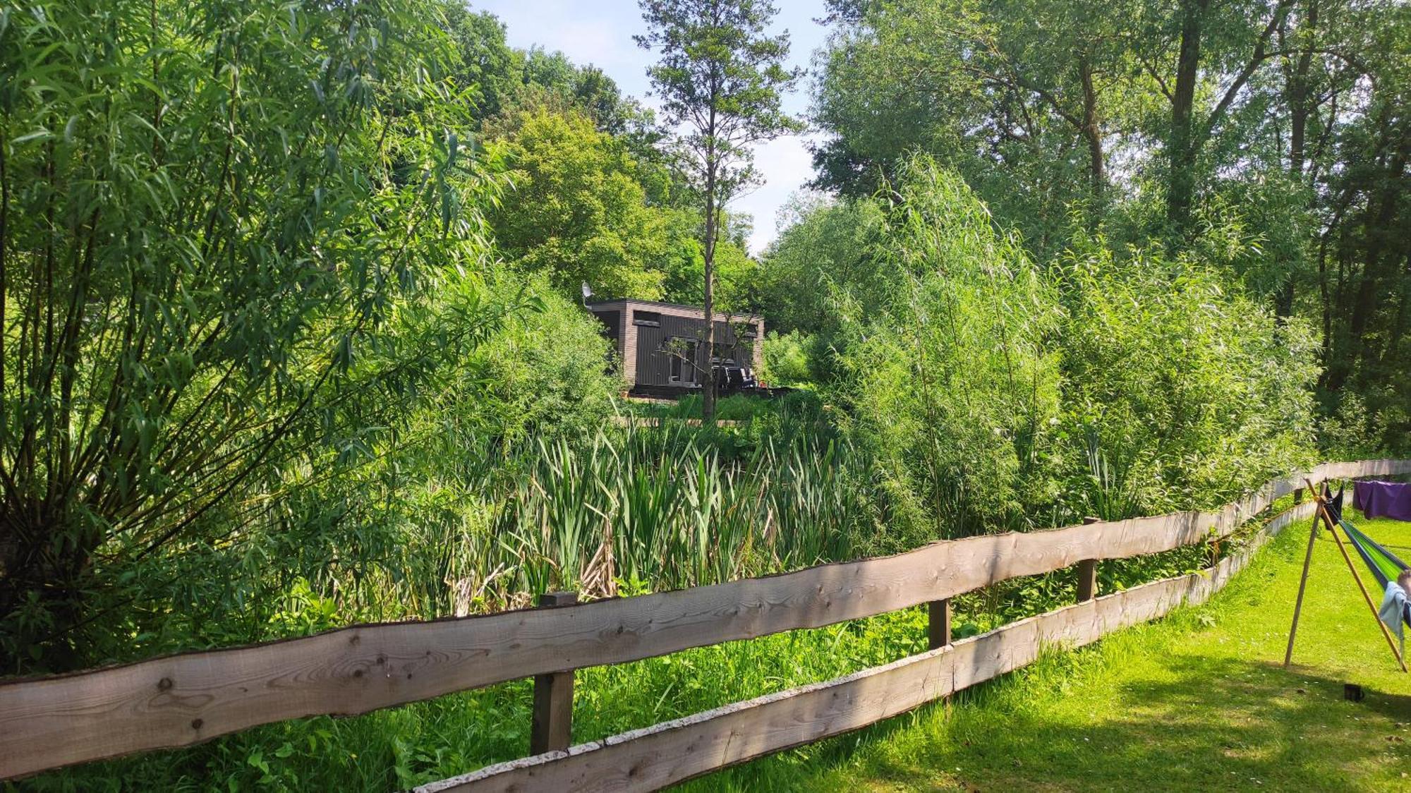 Villa Tiny House 14 - Sollberg Salzhemmendorf Exterior foto